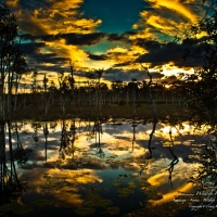 Farm Dam, Sky Reflections; Cross over from day to night