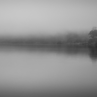 Foggy River Bend