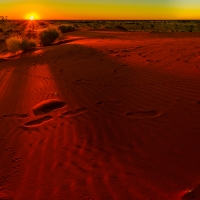 Tracks, Desert Sands, Outback Australia