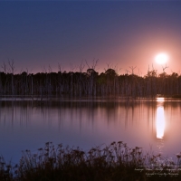 Winter Sky Moon, coochin creek farm dam sunset