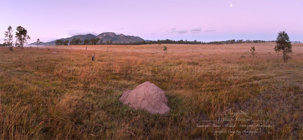 Biggenden; Mt Walsh and The Bluff Sunrise Moon, panorama
