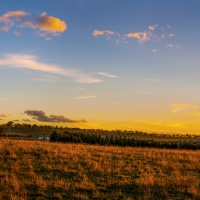 Deeargee Woolshed Sunset Panorama