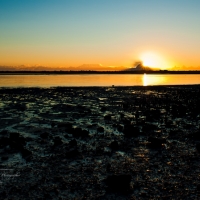 Fishermans Sunrise - Donnybrook